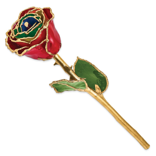 Lacquer Dipped Gold Trimmed Gypsy Rainbow Real Rose