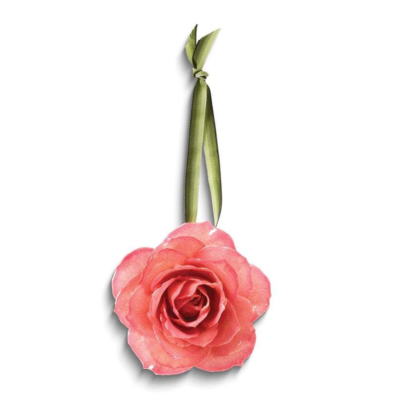Lacquer Dipped Pink Decorative Real Rose