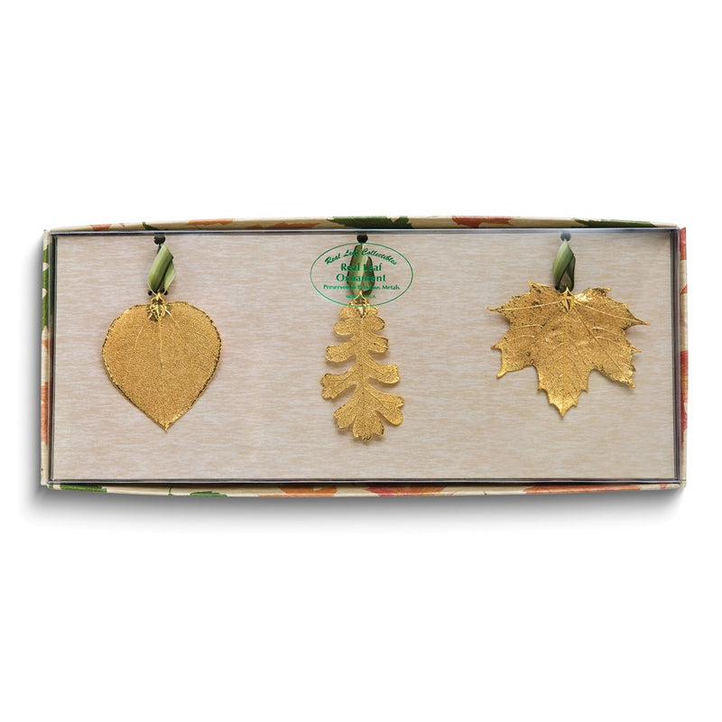 24k Gold Dipped Real Aspen, Oak and Maple Leaves Ornament Set