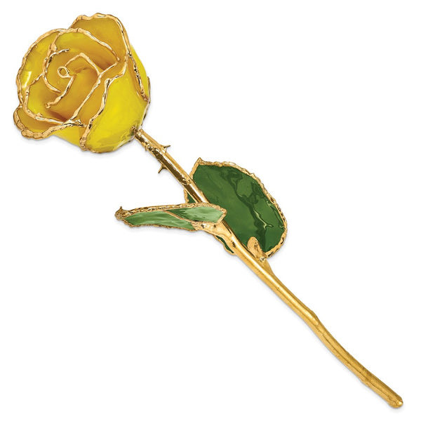 Lacquer Dipped Gold Trimmed Yellow Real Rose