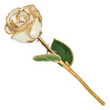 Lacquer Dipped Gold Trimmed White Satin Real Rose