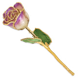 Lacquer Dipped Gold Trimmed Amethyst Real Rose
