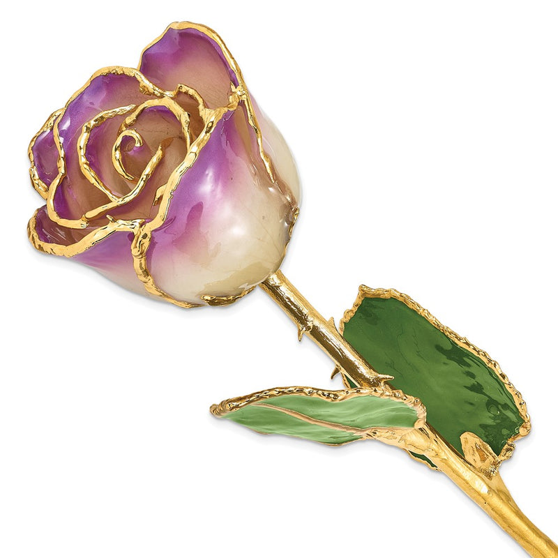 Lacquer Dipped Gold Trimmed Amethyst Real Rose