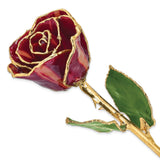Lacquer Dipped Gold Trimmed Abracadabra Real Rose