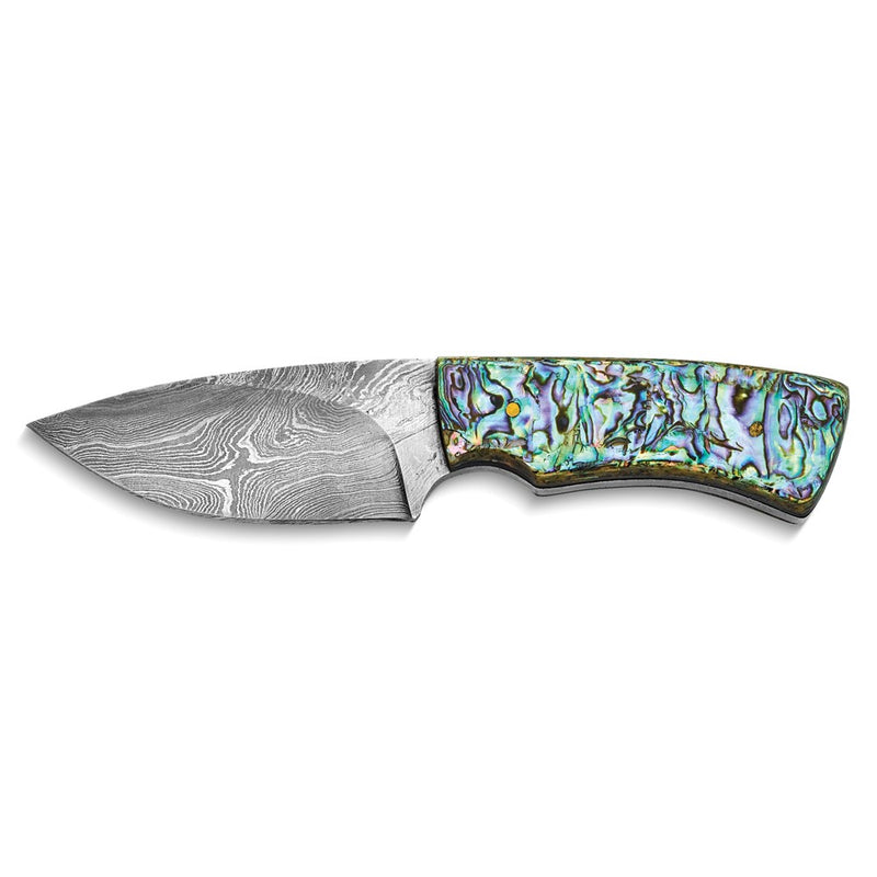 Luxury Giftware Damascus Steel 256 Layer Fixed Blade Abalone Shell Handle Knife with Leather Sheath and Gift Box
