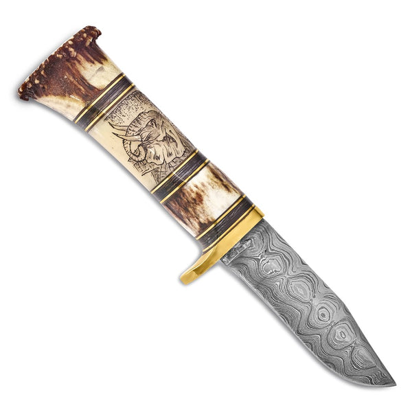 Luxury Giftware Damascus Steel 256 Layer Fixed Blade Lion and Elephant Scrimshaw Handle Knife with Leather Sheath and Gift Box