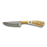 Luxury Giftware Damascus Steel 256 Layer Fixed Blade Stag Horn with Mosaic Pin Handle Knife with Leather Sheath and Gift Box