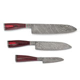 Luxury Knives Set of 3 Damascus Steel 256 Layer Pakka Wood Handle Chef Knives