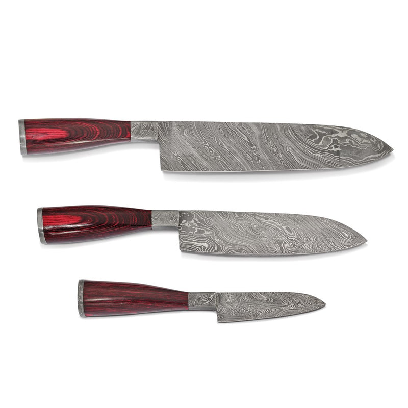 Luxury Knives Set of 3 Damascus Steel 256 Layer Pakka Wood Handle Chef Knives