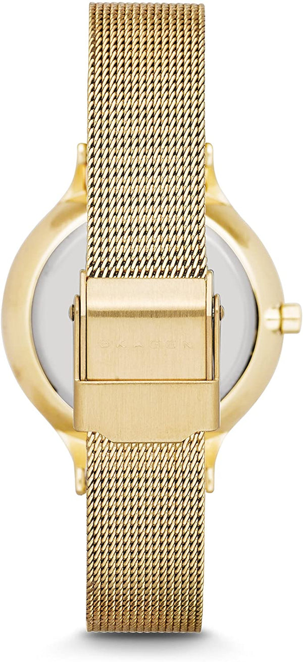 Skagen Anita Gold Tone Mesh Bracelet Crystallized SKW2150 Women's Watch