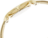 Skagen Anita Gold Tone Mesh Bracelet Crystallized SKW2150 Women's Watch