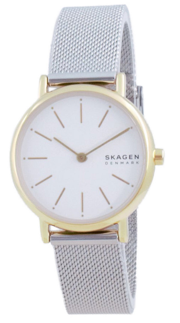Skagen Signatur Stainless Steel Quartz SKW2910 Women's Watch