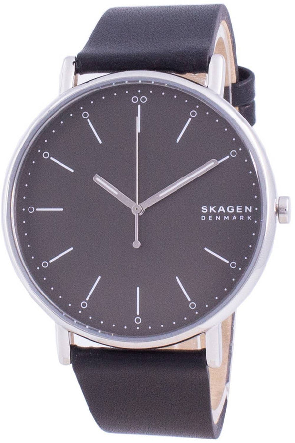 Skagen Signature SKW6528 Quartz Men's Watch